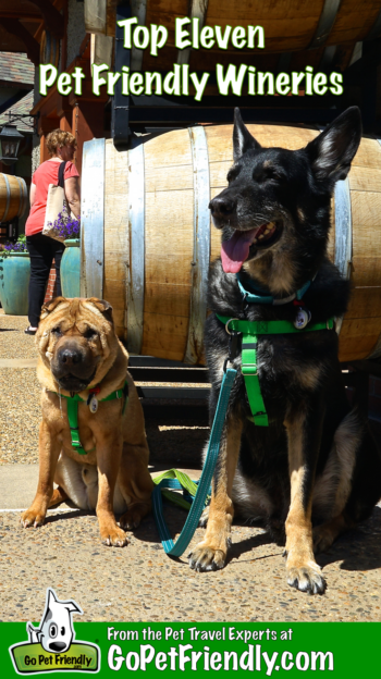 Top 11 Pet Friendly Wineries to Visit This Fall | GoPetFriendly.com