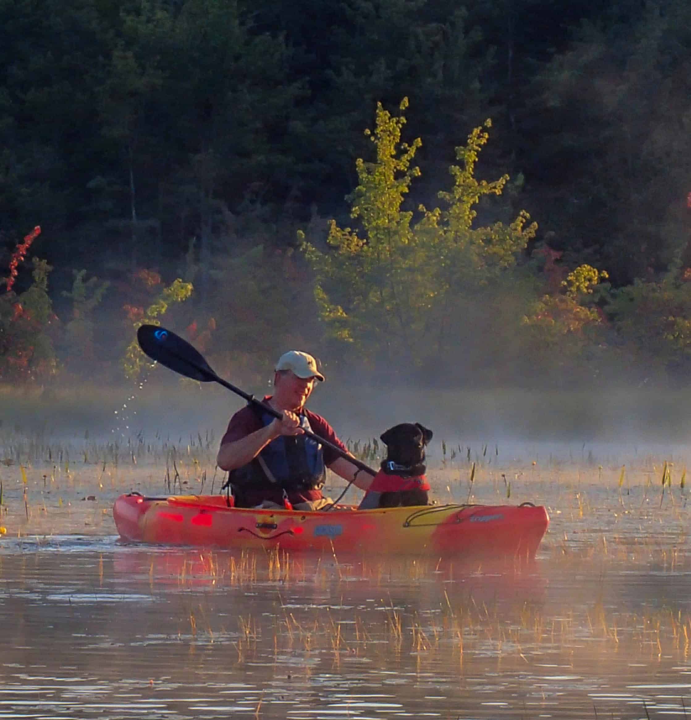 Tips for Canoeing and Kayaking with Dogs | GoPetFriendly.com