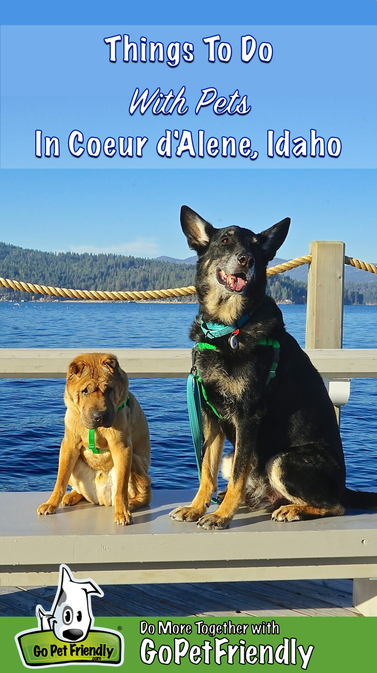 Shar-pei and German Shepherd Dog sitting on a bench with Lake Coeur d'Alene in the background