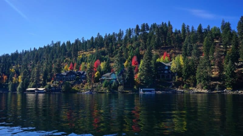 Idaho's Top Pet Friendly Attraction: Lake Coeur d'Alene | GoPetFriendly.com