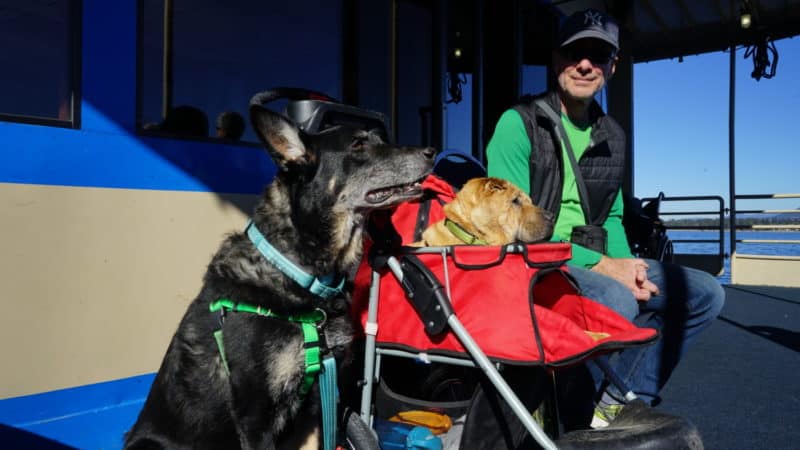 Idaho's Top Pet Friendly Attraction: Lake Coeur d'Alene | GoPetFriendly.com