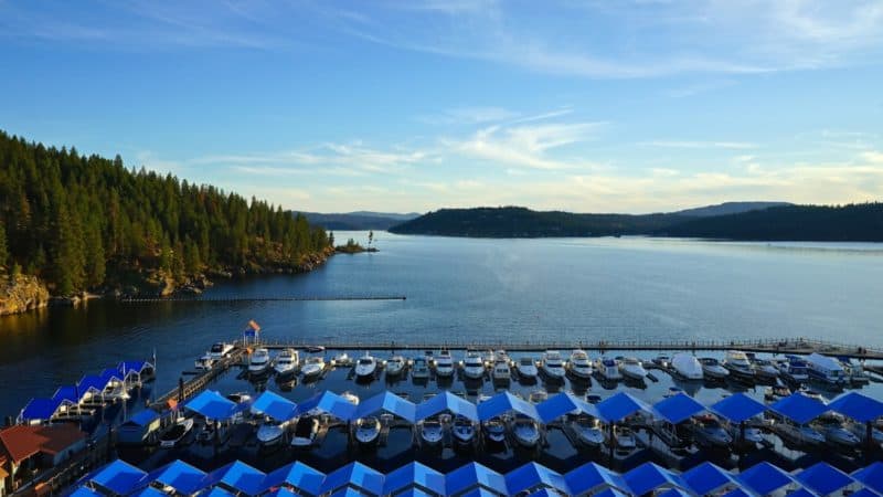 Idaho's Top Pet Friendly Attraction: Lake Coeur d'Alene | GoPetFriendly.com