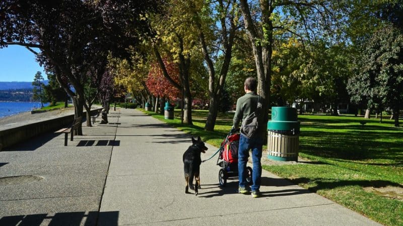 Idaho's Top Pet Friendly Attraction: Lake Coeur d'Alene | GoPetFriendly.com