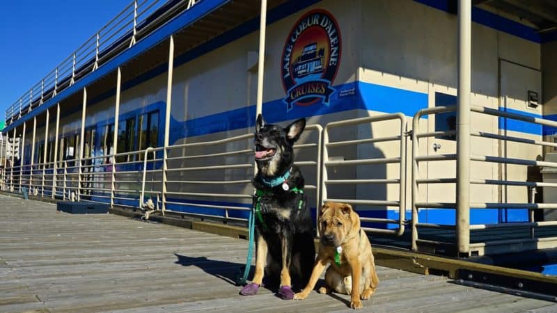 Idaho's Top Pet Friendly Attraction: Lake Coeur d'Alene | GoPetFriendly.com