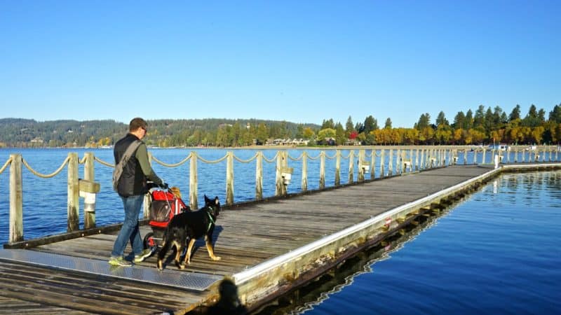 Idaho's Top Pet Friendly Attraction: Lake Coeur d'Alene | GoPetFriendly.com