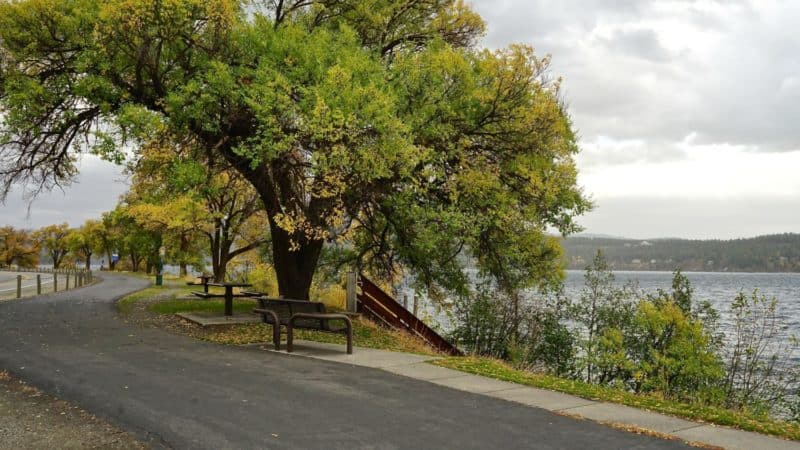 Idaho's Top Pet Friendly Attraction: Lake Coeur d'Alene | GoPetFriendly.com