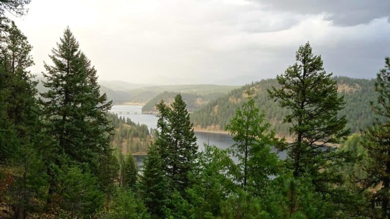 Idaho's Top Pet Friendly Attraction: Lake Coeur d'Alene | GoPetFriendly.com