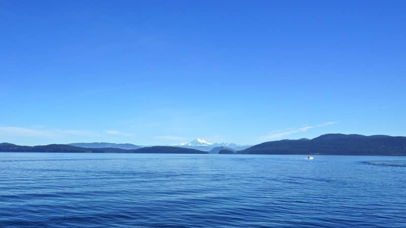 Washington's Top Pet Friendly Attraction: San Juan Islands | GoPetFriendly.com