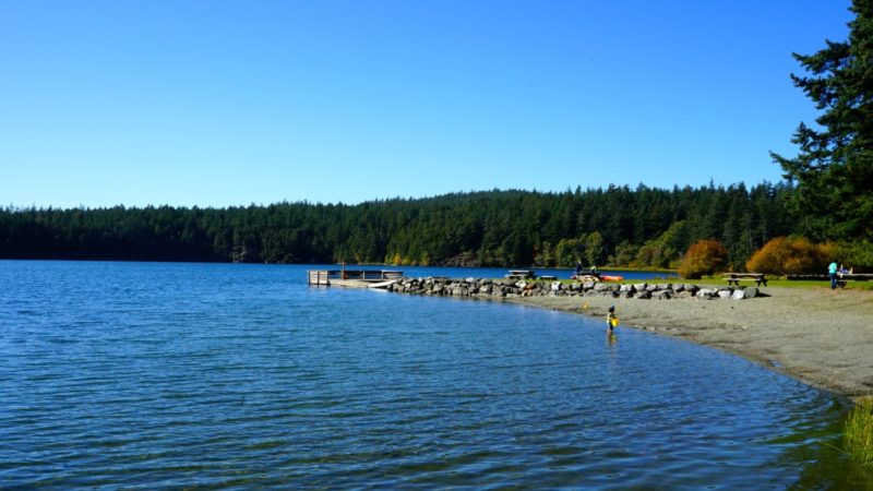 Washington's Top Pet Friendly Attraction: San Juan Islands | GoPetFriendly.com