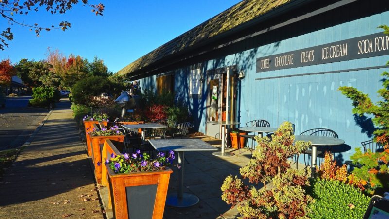 Washington's Top Pet Friendly Attraction: San Juan Islands | GoPetFriendly.com