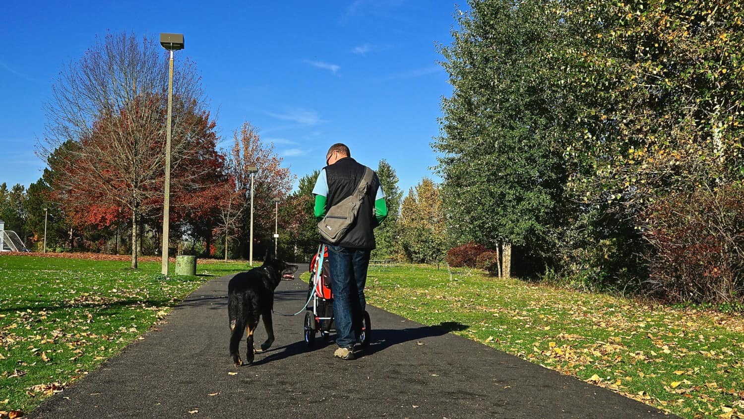 Oregon's Top Pet Friendly Attraction: Portland's Parks | GoPetFriendly.com