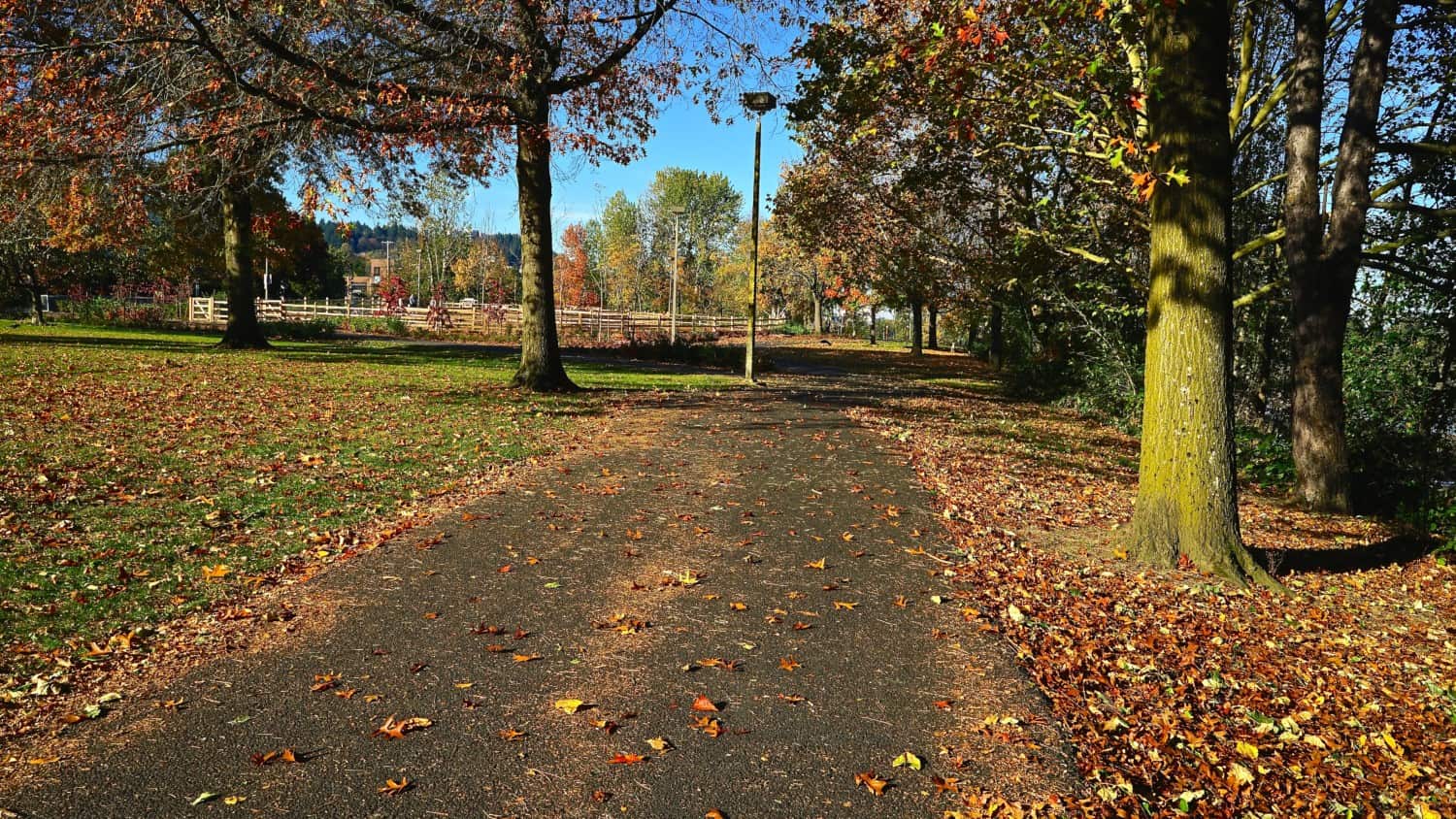 Oregon's Top Pet Friendly Attraction: Portland's Parks | GoPetFriendly.com