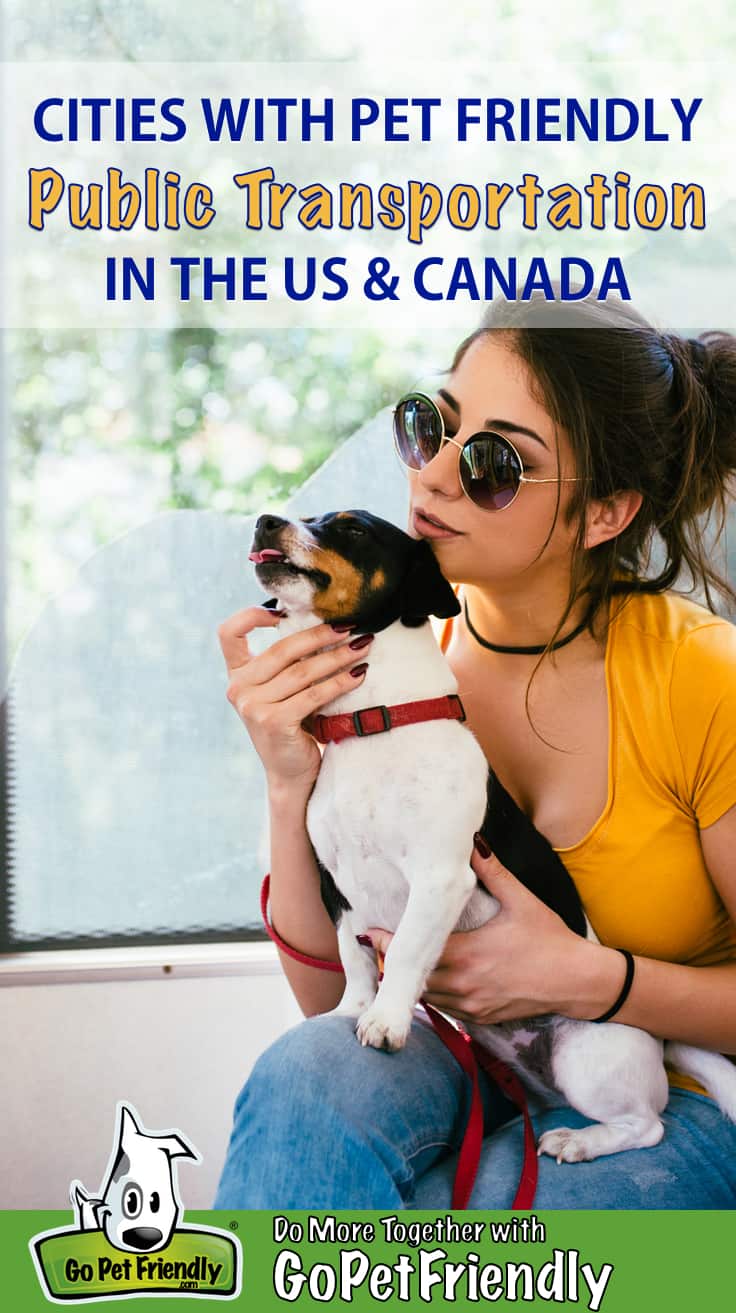 Woman and dog riding public transportation in a pet friendly city