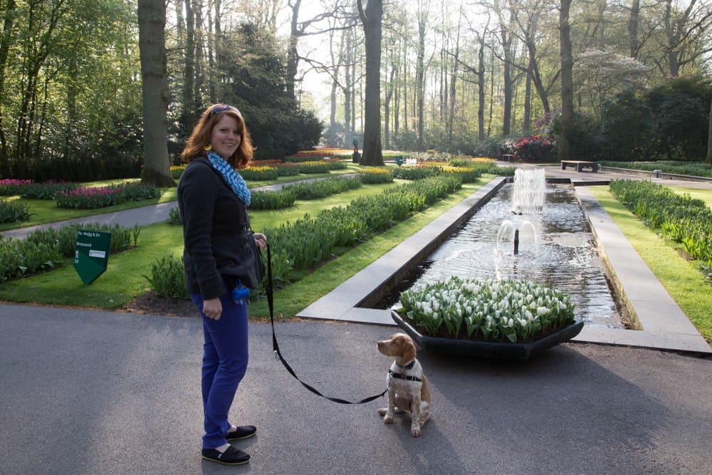 The Netherlands' Pet Friendly Keukenhof Gardens | GoPetFriendly.com