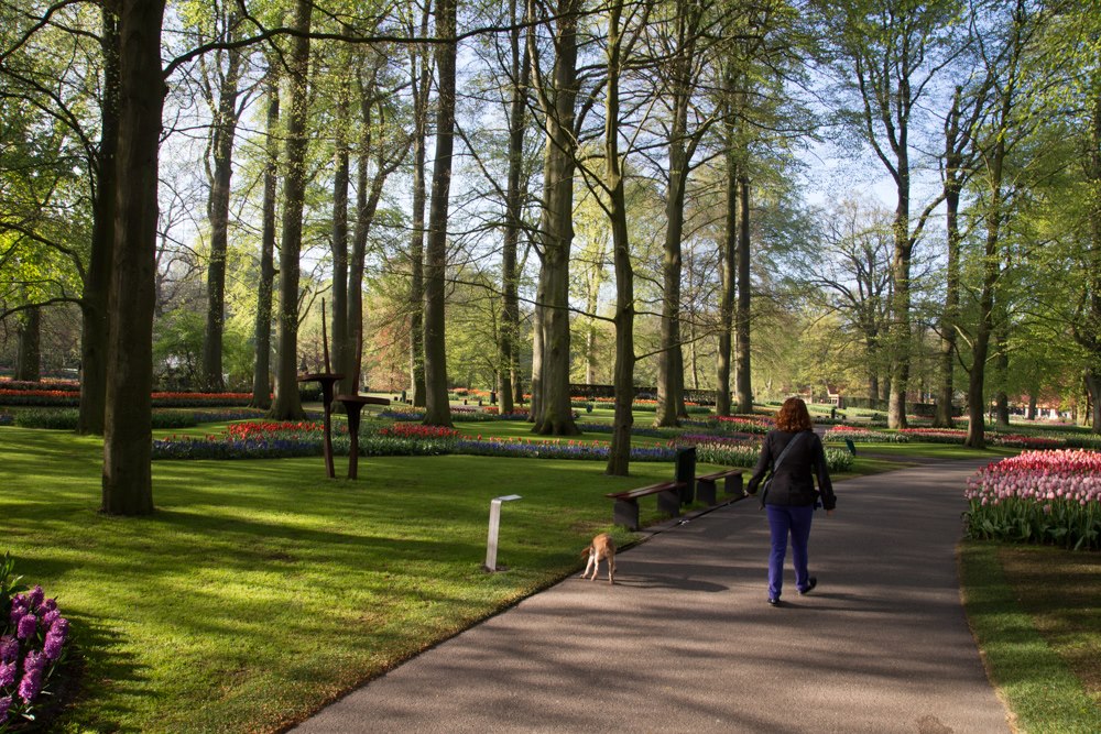 The Netherlands' Pet Friendly Keukenhof Gardens | GoPetFriendly.com