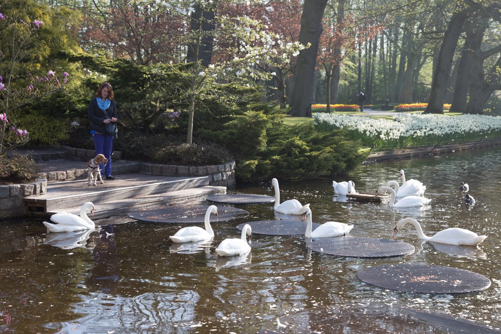 The Netherlands' Pet Friendly Keukenhof Gardens | GoPetFriendly.com