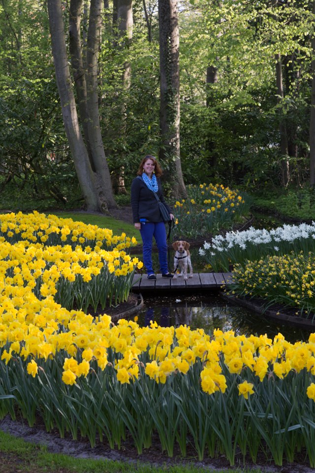 The Netherlands' Pet Friendly Keukenhof Gardens | GoPetFriendly.com