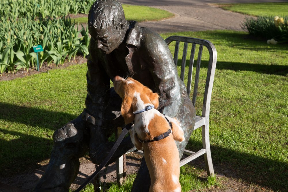 The Netherlands' Pet Friendly Keukenhof Gardens | GoPetFriendly.com