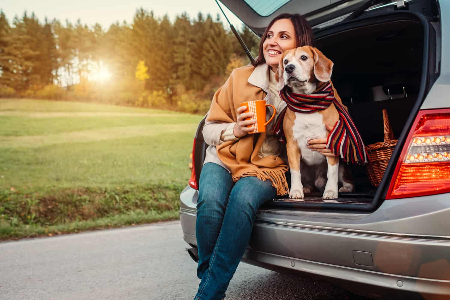 Tips for Traveling Alone with Pets | GoPetFriendly.com