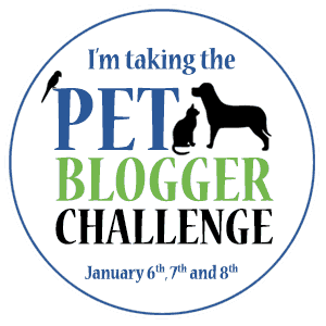 Pet Blogger Challenge Coming January 6-8th | GoPetFriendly.com