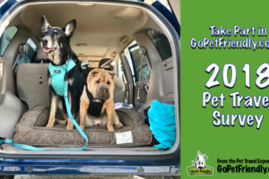 2018 Pet Travel Survey | GoPetFriendly.com