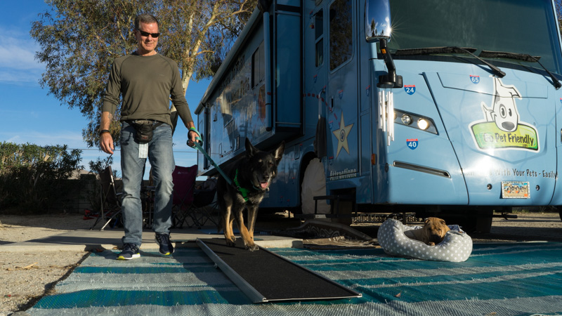 Tips for Choosing and Using an RV Dog Ramp | GoPetFriendly.com