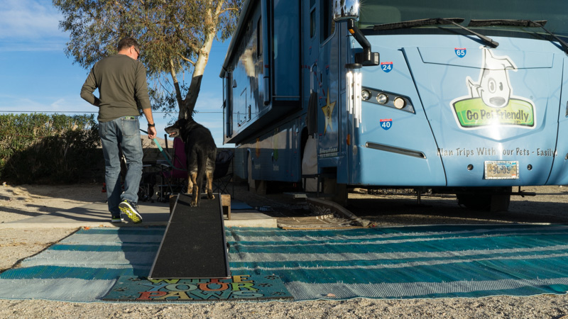 Tips for Choosing and Using an RV Dog Ramp | GoPetFriendly.com