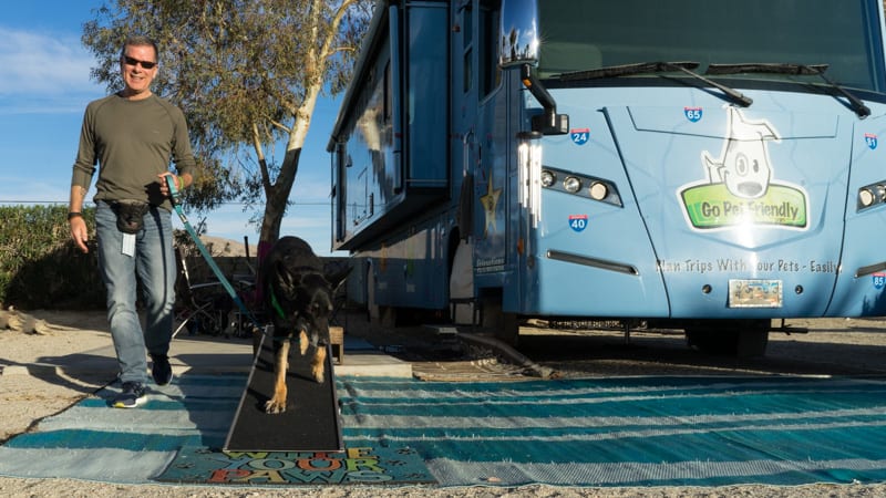 Tips for Choosing and Using an RV Dog Ramp | GoPetFriendly.com