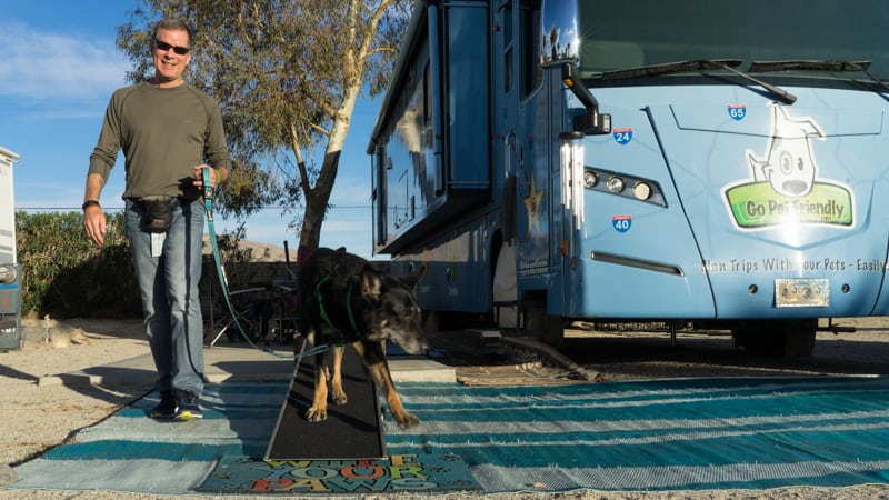 Tips for Choosing and Using an RV Dog Ramp | GoPetFriendly.com