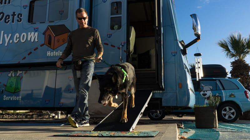 Tips for Choosing and Using an RV Dog Ramp | GoPetFriendly.com