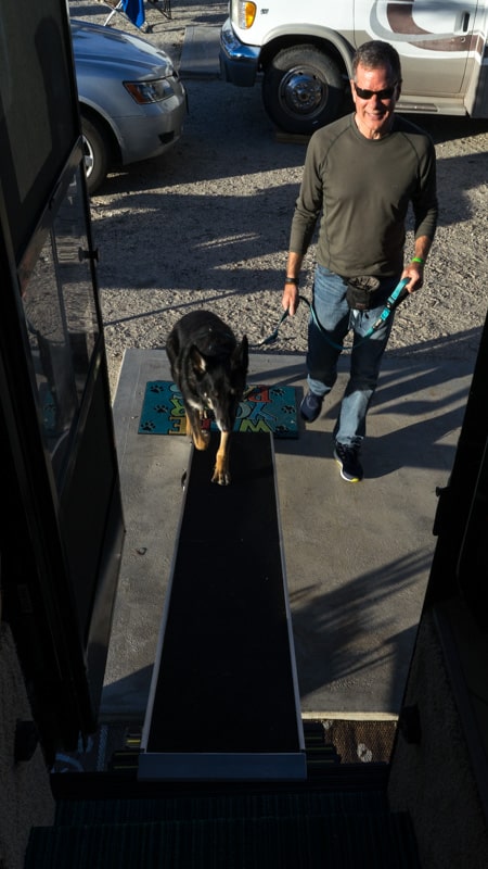 Tips for Choosing and Using an RV Dog Ramp | GoPetFriendly.com