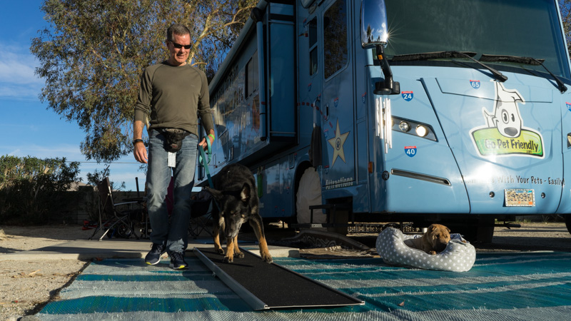 Tips for Choosing and Using an RV Dog Ramp | GoPetFriendly.com