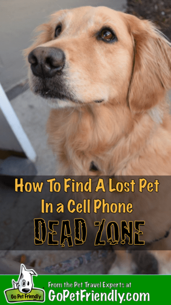 How To Find A Lost Pet In A Cell Phone Dead Zone | GoPetFriendly.com