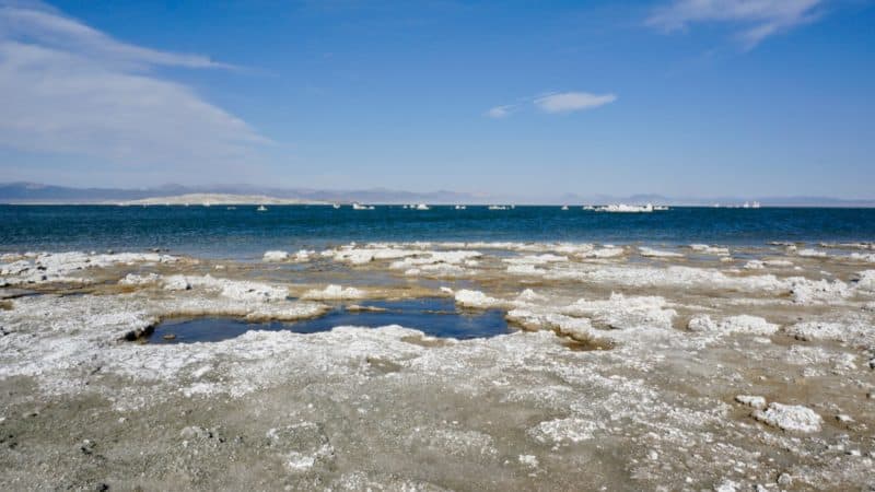 Visiting California's Mono Lake with Dogs | GoPetFriendly.com