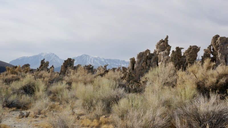 Visiting California's Mono Lake with Dogs | GoPetFriendly.com