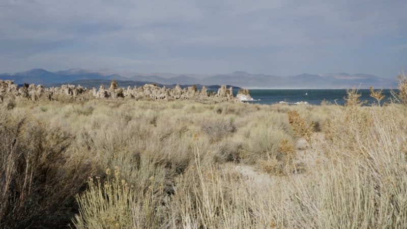 Visiting California's Mono Lake with Dogs | GoPetFriendly.com