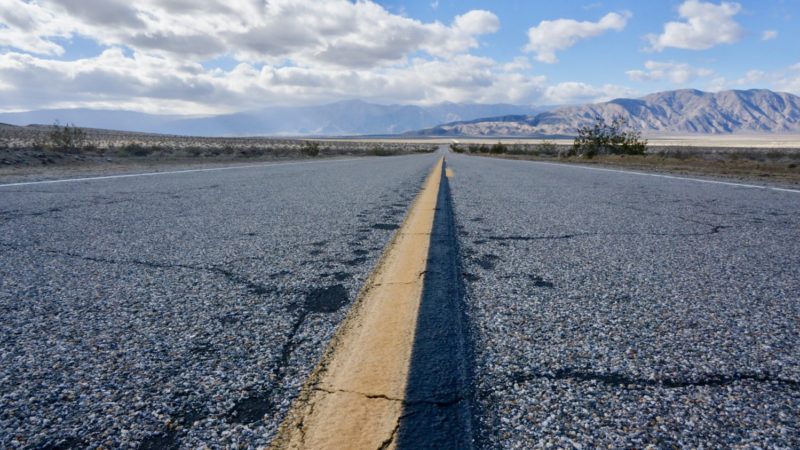 Borrego Springs: A Dog Friendly Day Trip | GoPetFriendly.com