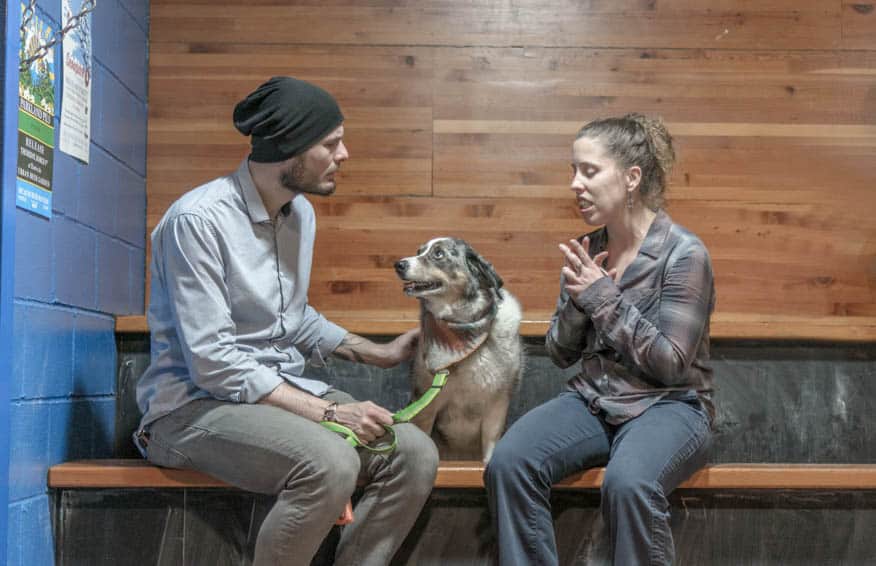 Sora patiently waiting to ask for a treat while Dave chats with a friend.