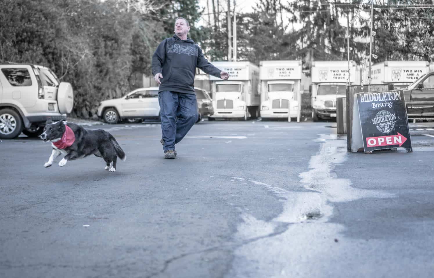 Middleton Brewery dog, Kona, plays fetch with a patron.