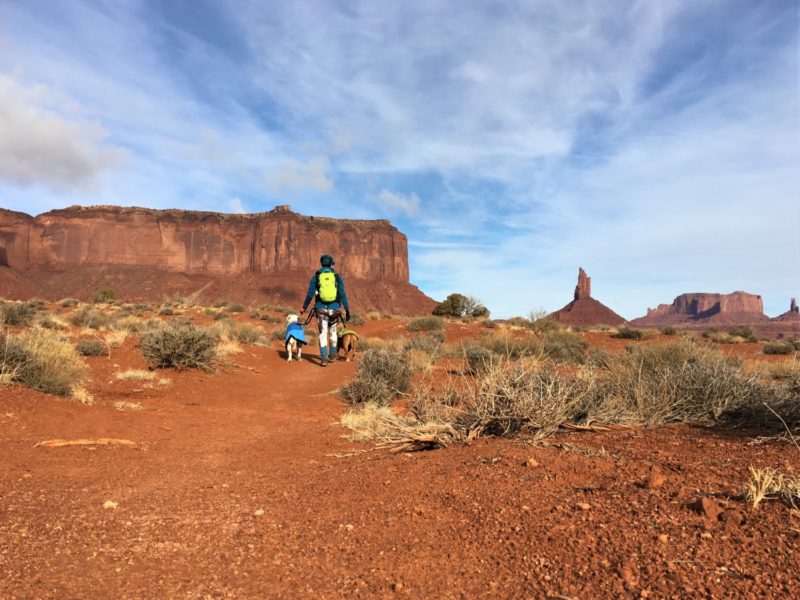 Visiting Monument Valley with Dogs