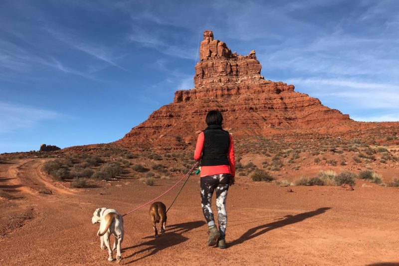 Visiting Monument Valley with Dogs