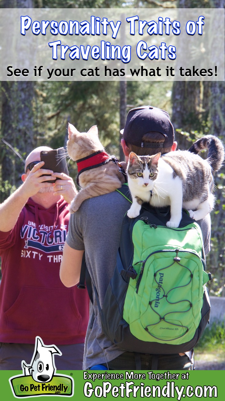 Traveling cats, Fish and Chips, post for pictures on a pet friendly trail