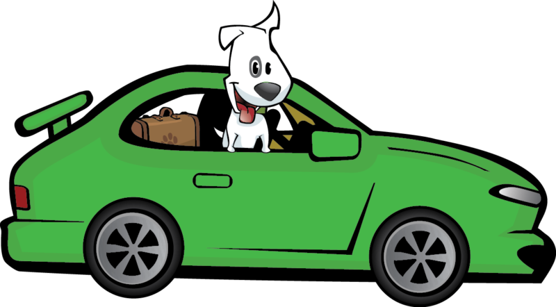 Scout in Car | GoPetFriendly.com