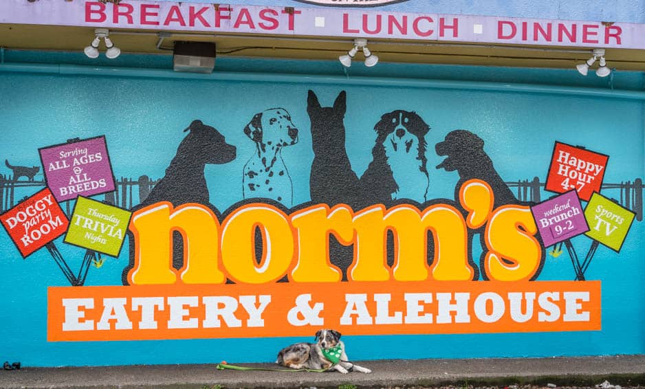 Sora poses below Norm's Eatery dog mural