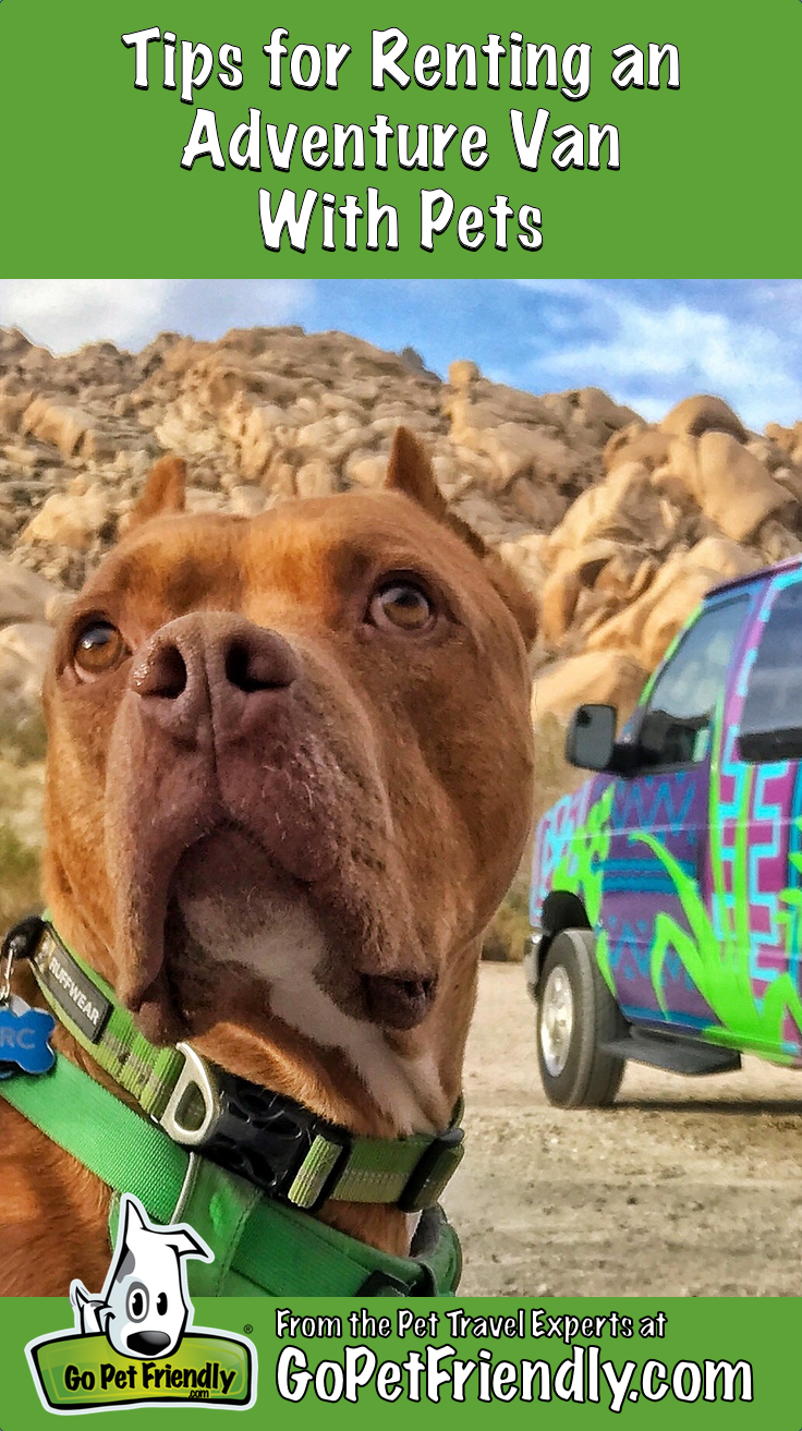 Renting an Adventure Van with Pets | GoPetFriendly.com