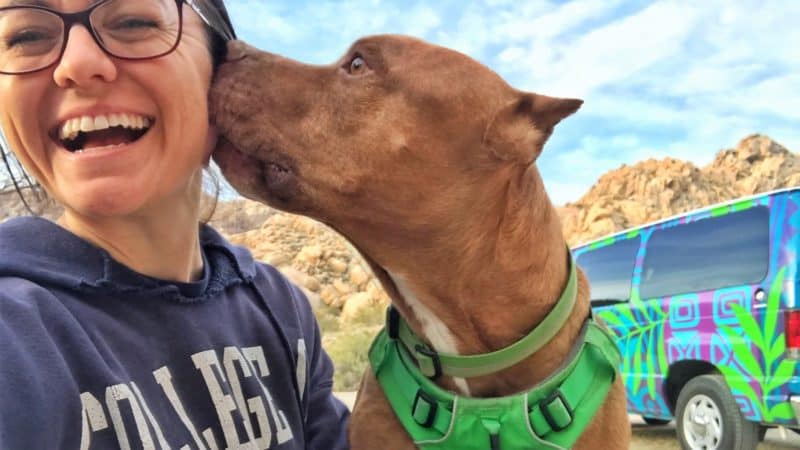 Renting An Adventure Van With Pets