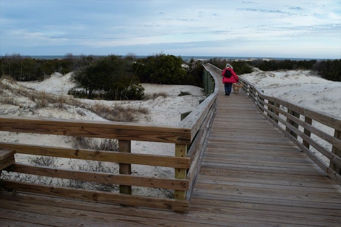 Woman and a dog on the boardwalk at Cumberland National Seashore