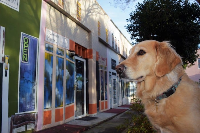 Honey the golden retriever checks out a storefront mural in Georgetown, South Carolina | GoPetFriendly.com