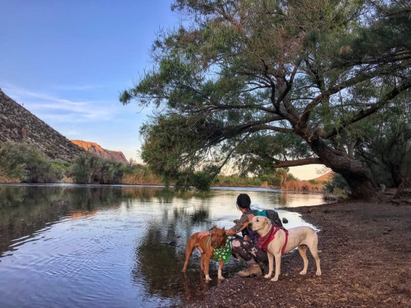 Hiking With Your Dog East of Phoenix