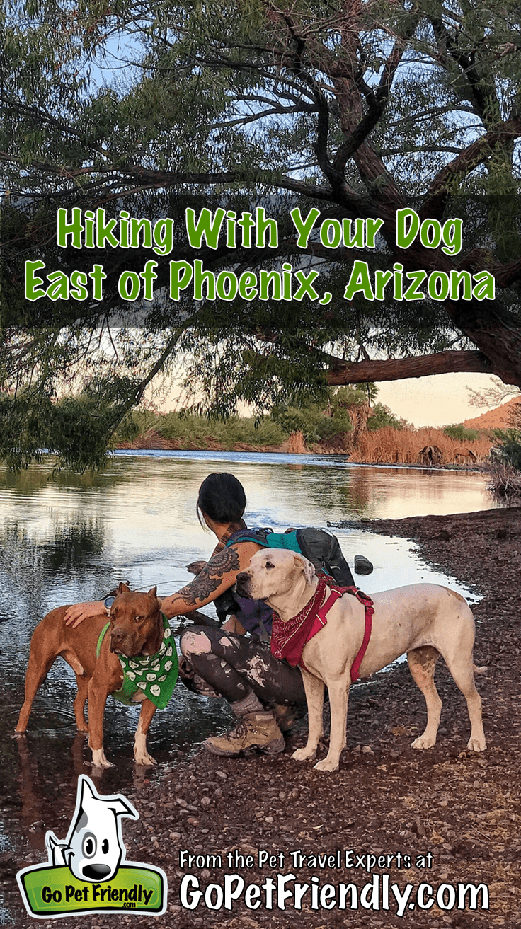 Hiking With Your Dog East of Phoenix | GoPetFriendly.com